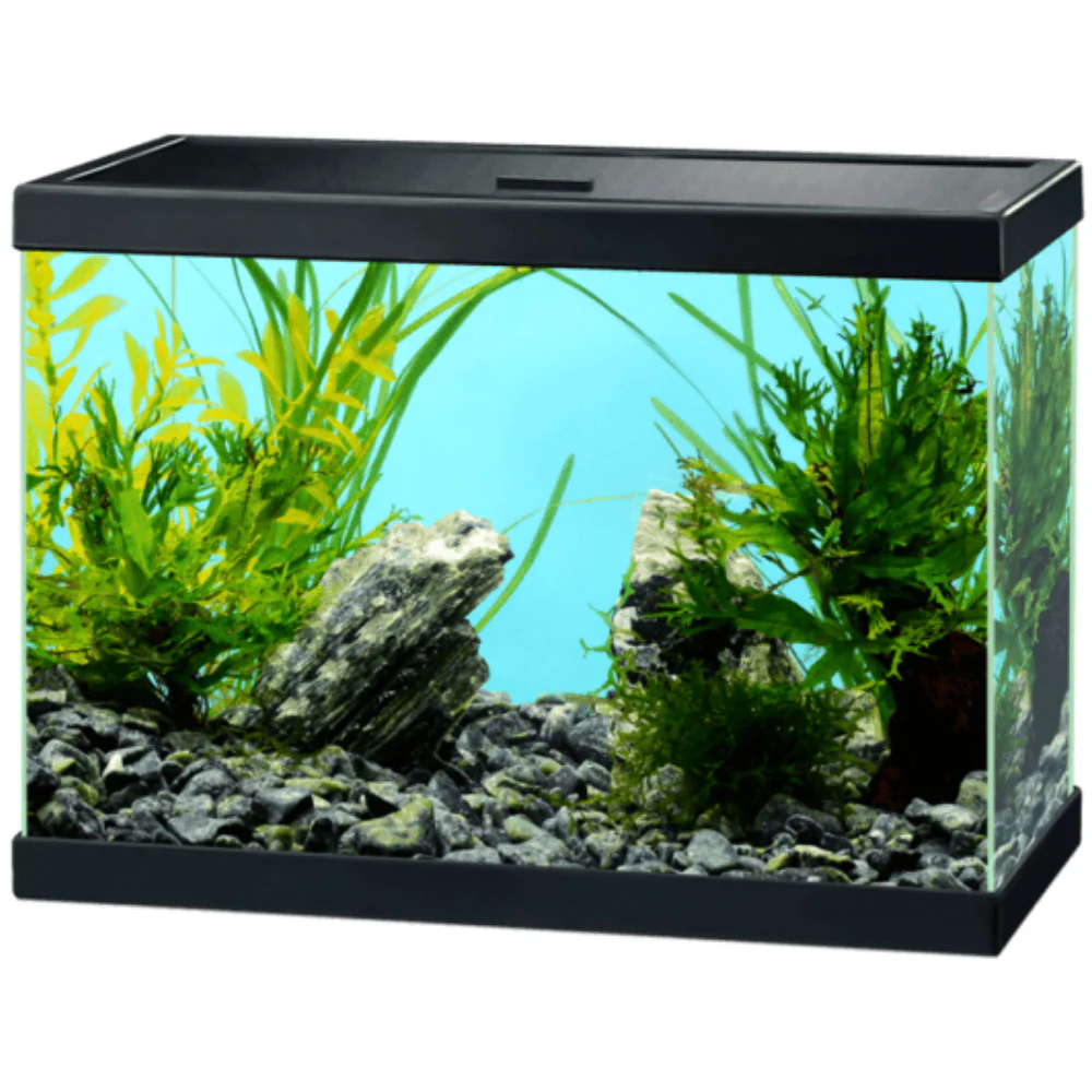 Acuario Aqua 15 Ciano 35X17,5X24,8 cm 13L.