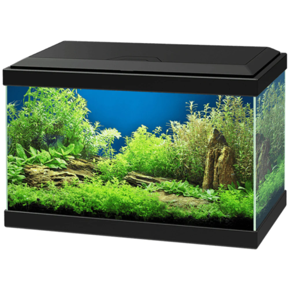 Acuario Aqua 20 Light Led Ciano