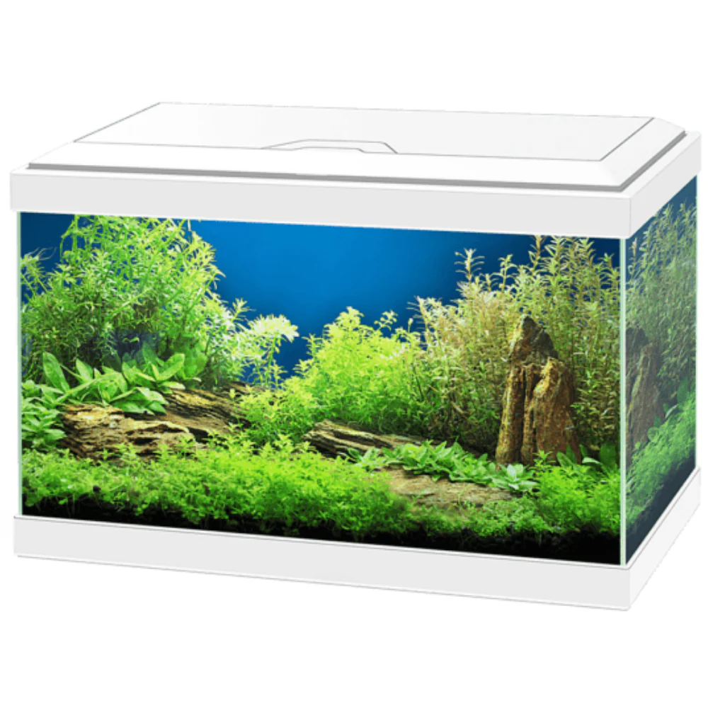 Acuario Aqua 20 Light Led Ciano - Image 2