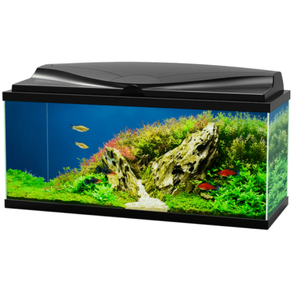 Acuario Aqua 80 Light Negro Ciano 80x30x41,5cm 71L