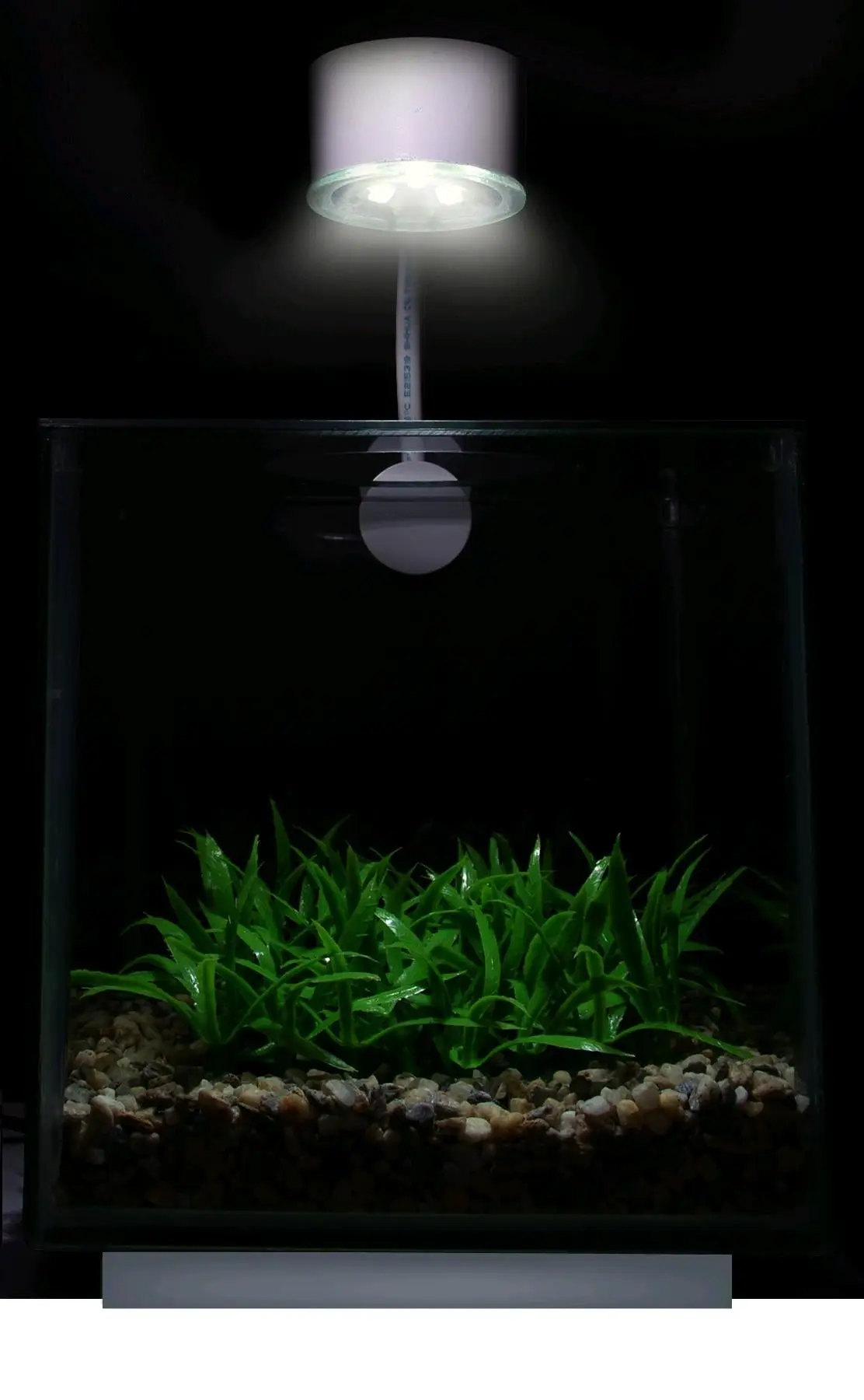Acuario Betta Marina Cubus 3,4 L - Image 2