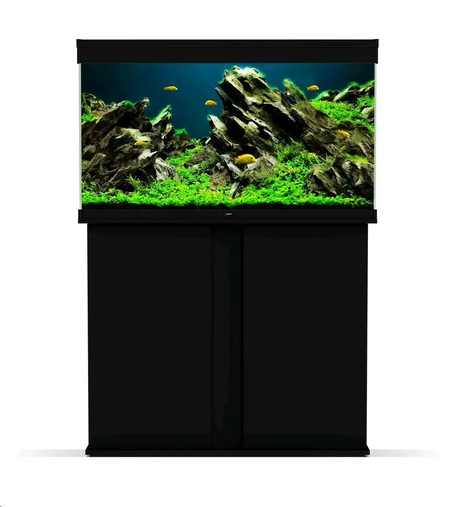 Acuario Emotions - Image 11