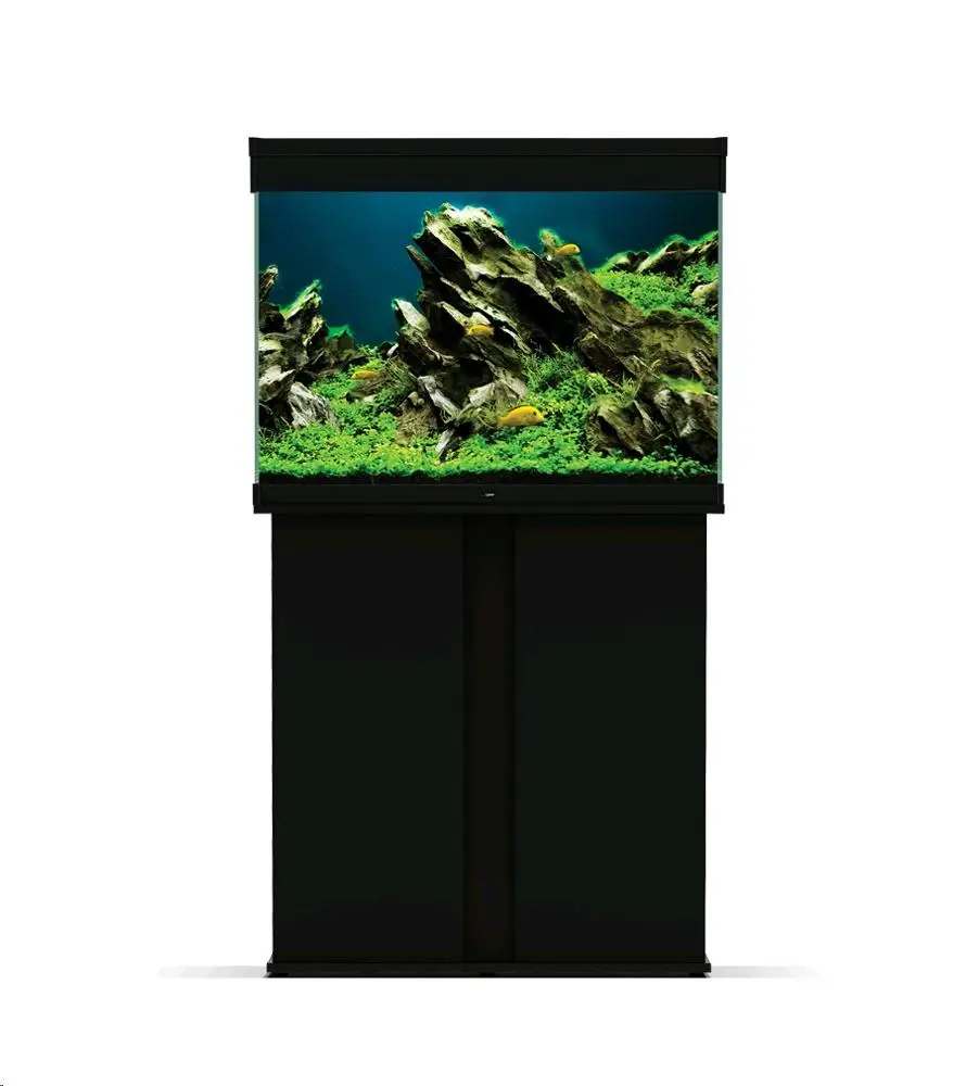 Acuario Emotions - Image 12