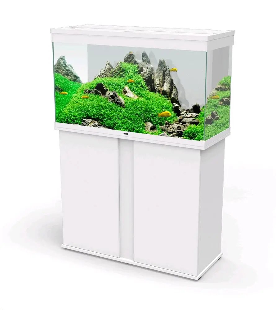 Acuario Emotions - Image 3