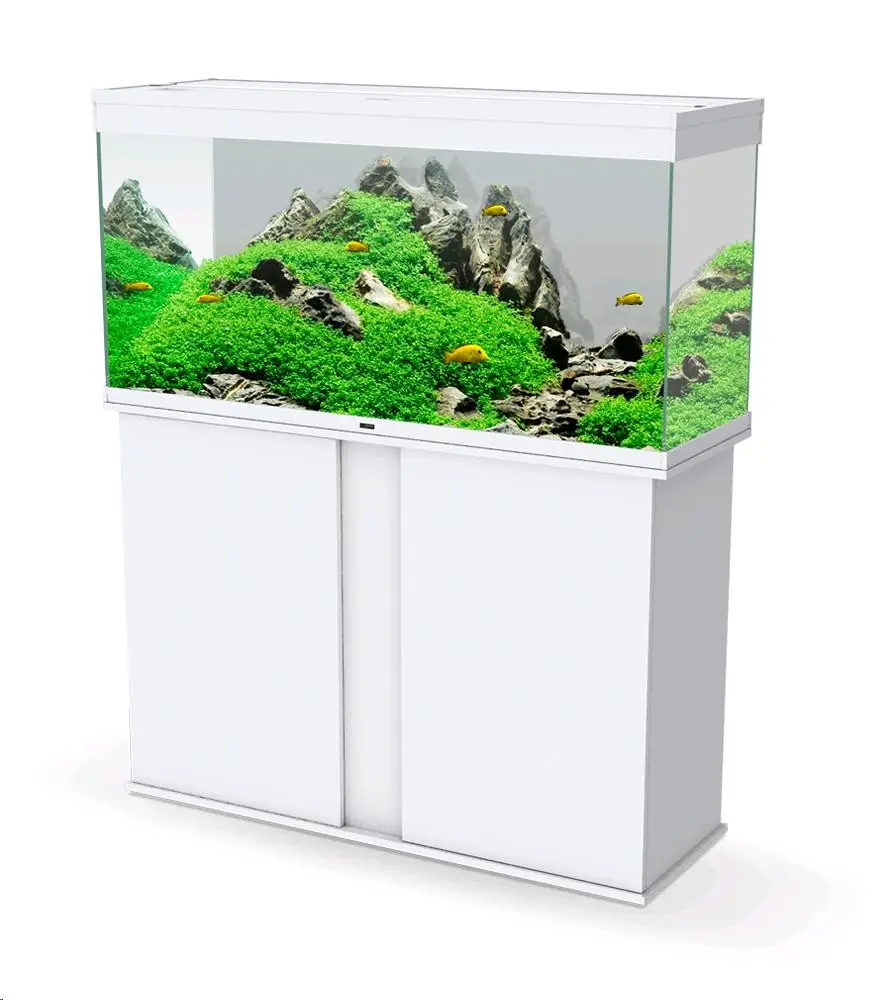 Acuario Emotions - Image 4