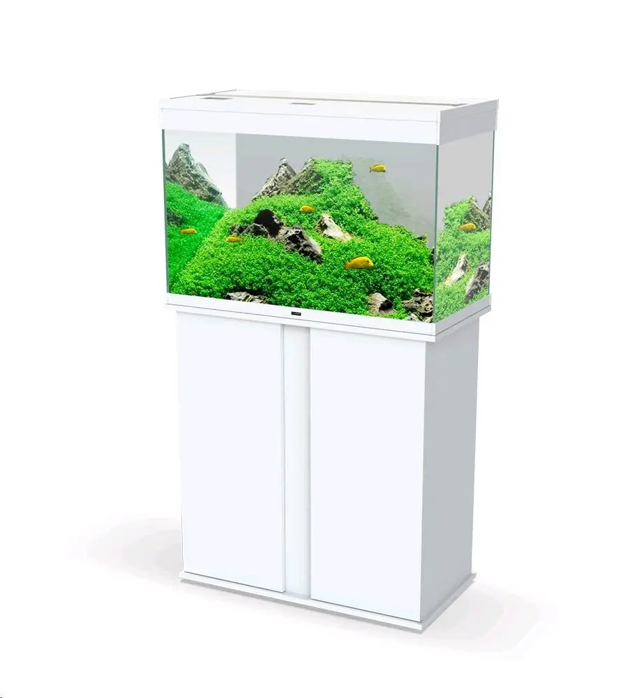 Acuario Emotions - Image 5