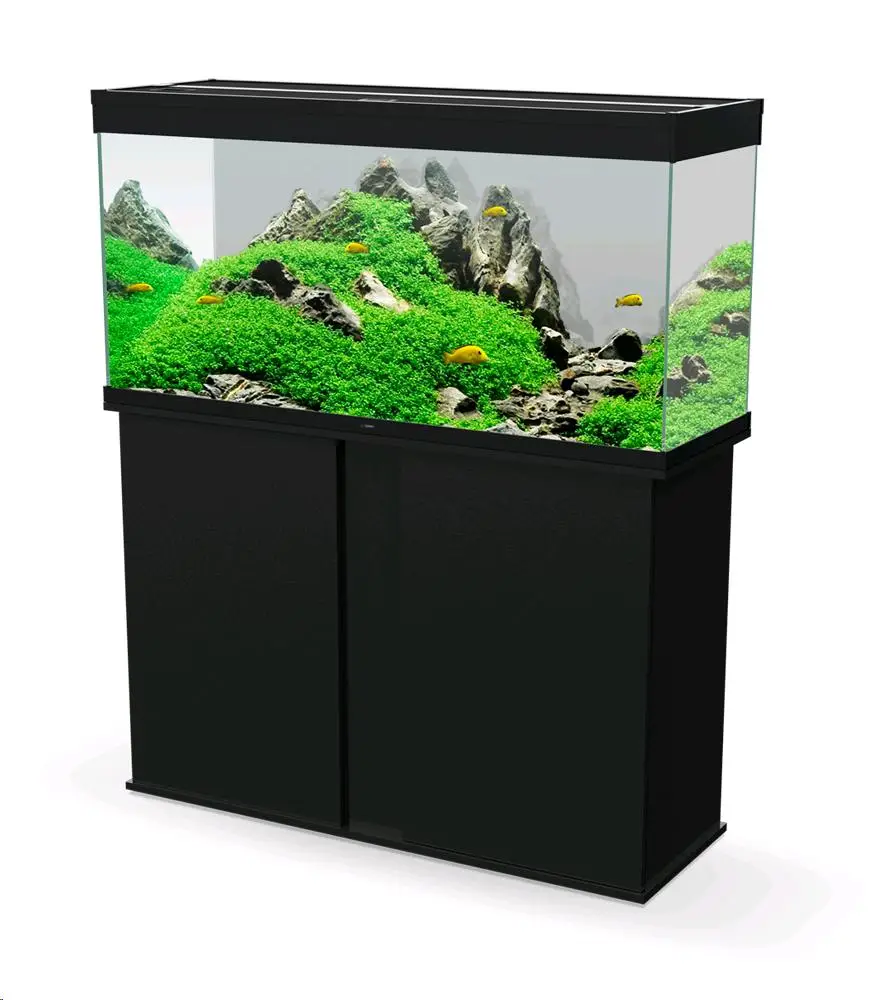 Acuario Emotions - Image 7