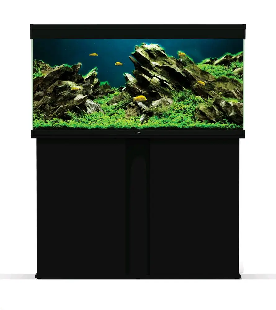 Acuario Emotions - Image 8
