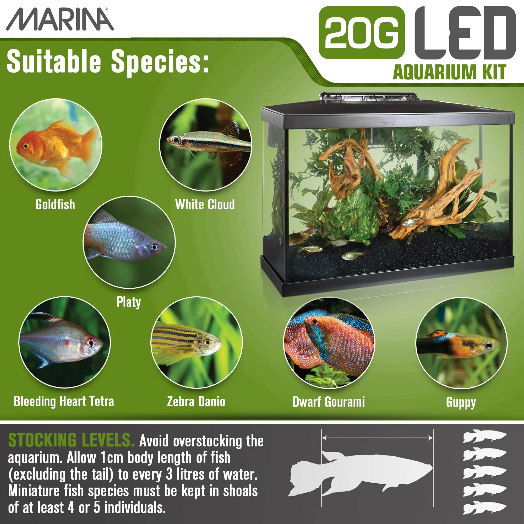 Acuario Marina Led 20 g Kit 75L. (61,4X32,2X41.9 cm) - Image 4