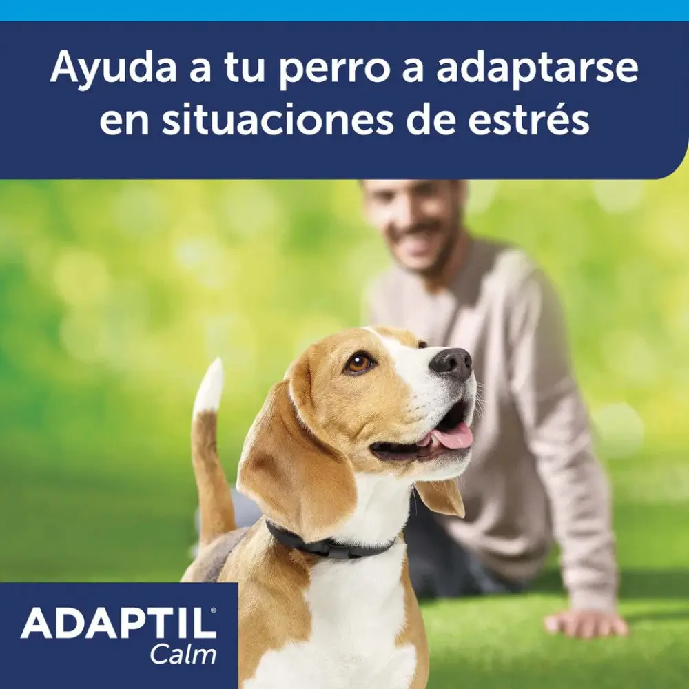 Adaptil Calm Collar Antiestrés y Tranquilizante para Perros - Image 5