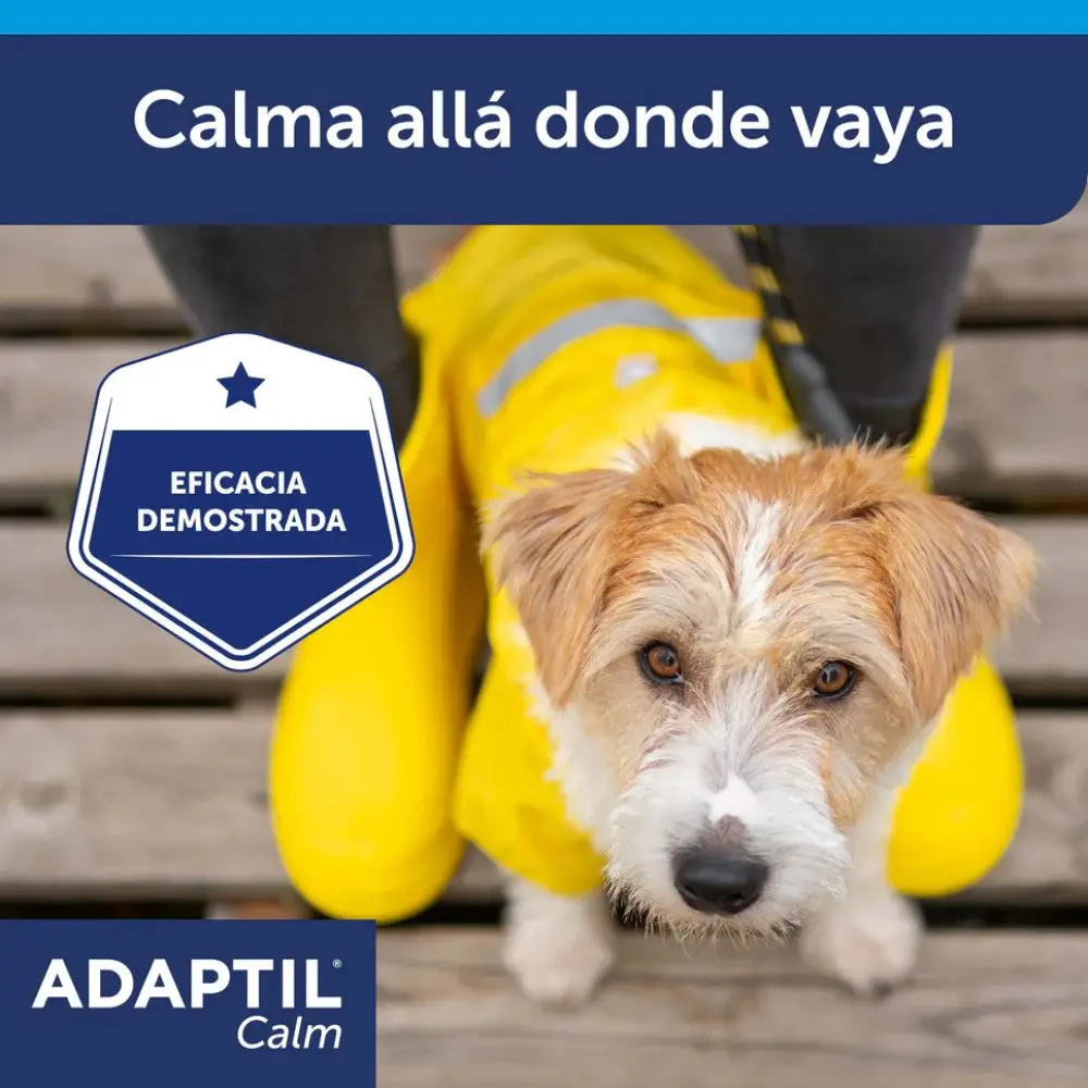 Adaptil Calm Collar Antiestrés y Tranquilizante para Perros - Image 7