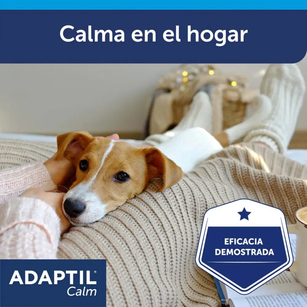 Adaptil Calm Difusor + Recambio 48 ml Reduce el Estrés en Perros - Image 4