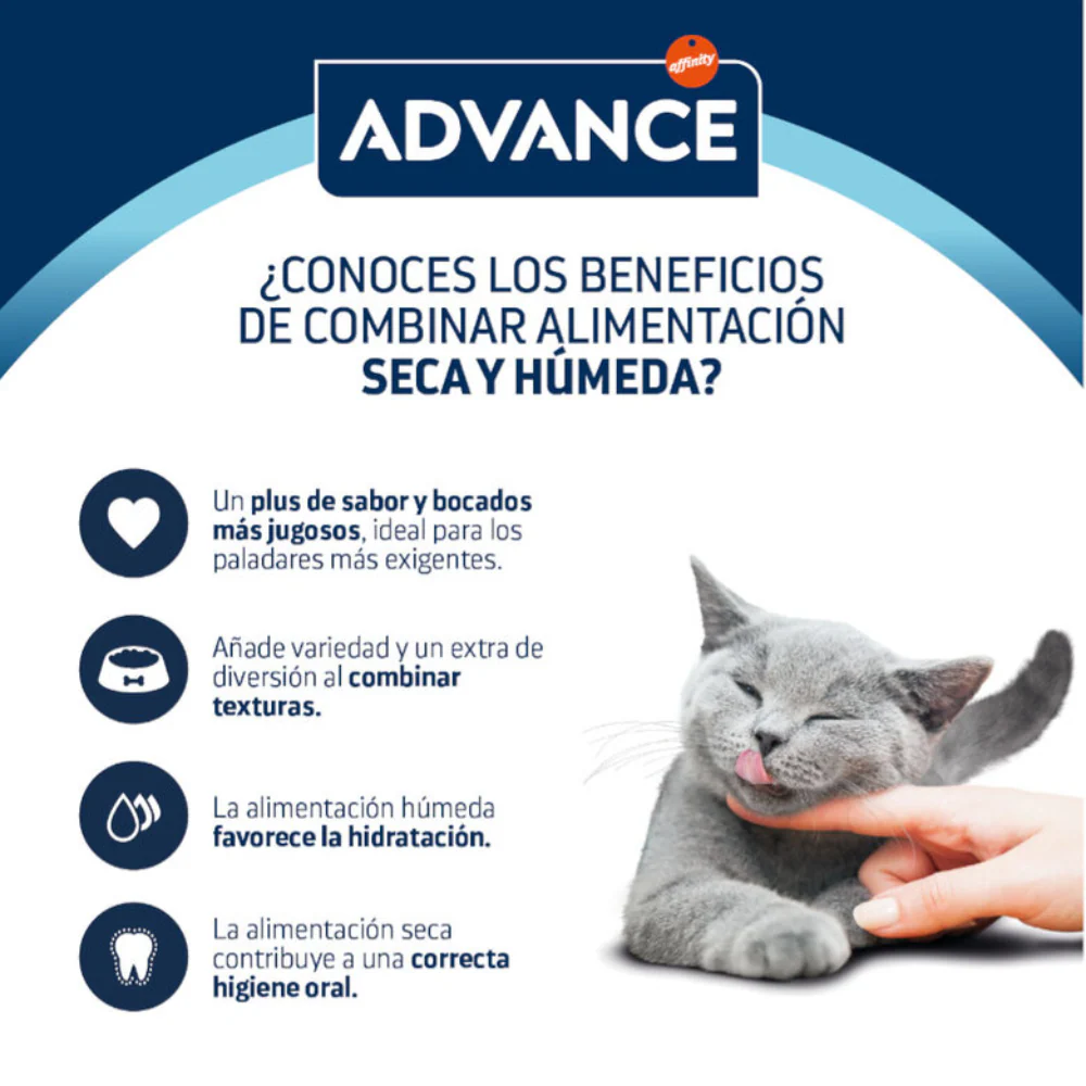 Advance Cat Bocaditos en Salsa para Gatos Adultos con Pollo - 85 g - Image 4