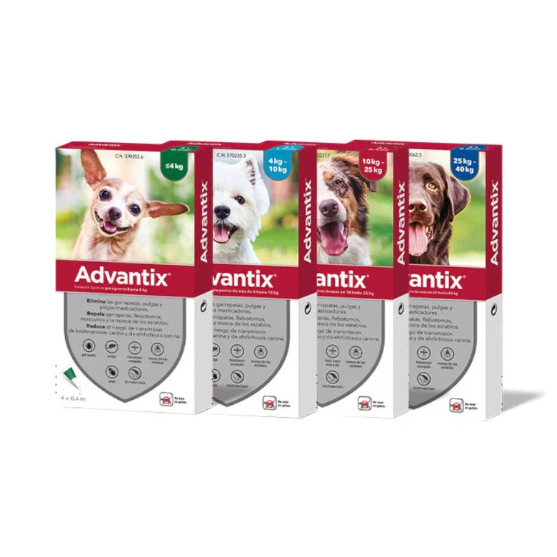 Advantix Pipetas Antiparasitarias Pack 4 para Perros