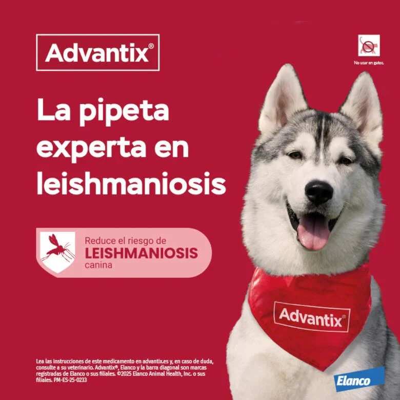 Advantix Pipetas Antiparasitarias Pack 4 para Perros - Image 2