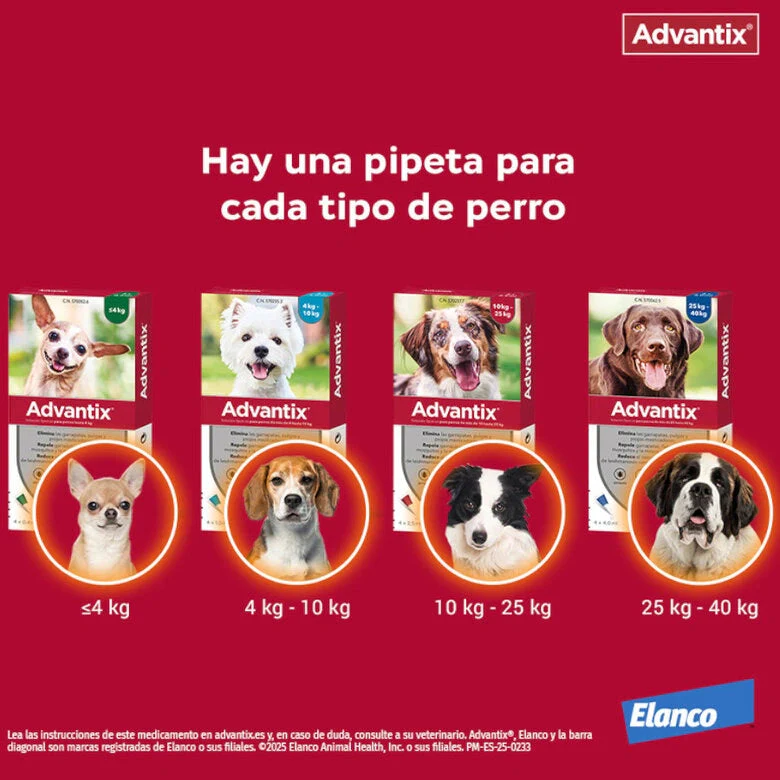Advantix Pipetas Antiparasitarias Pack 4 para Perros - Image 3