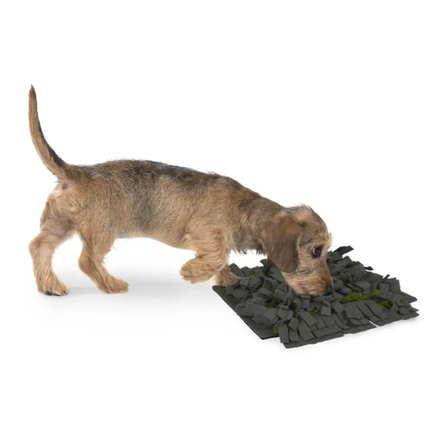 Alfombra Olfativa para Perros - Antideslizante y con Funda Extraíble - Image 2