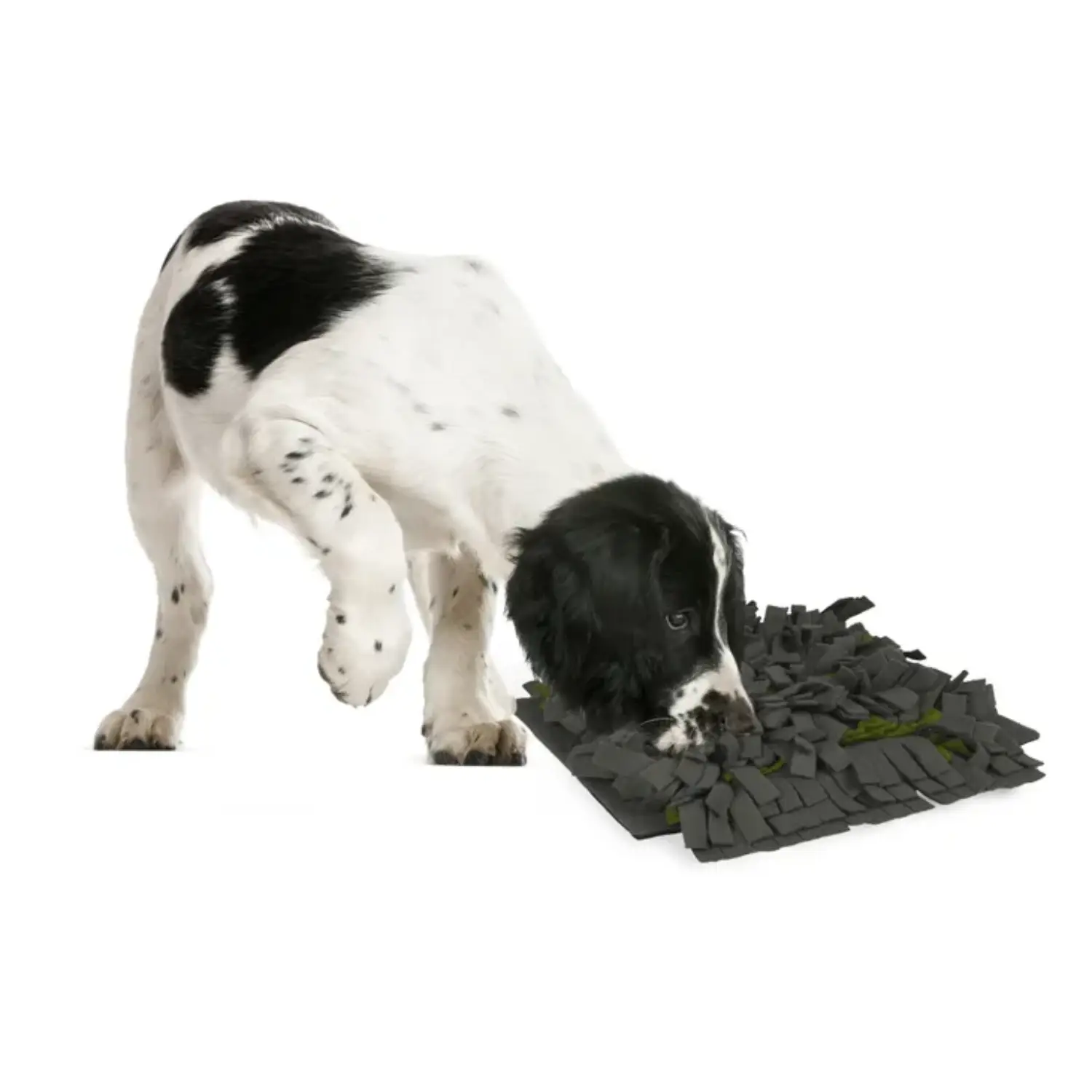 Alfombra Olfativa para Perros - Antideslizante y con Funda Extraíble - Image 3