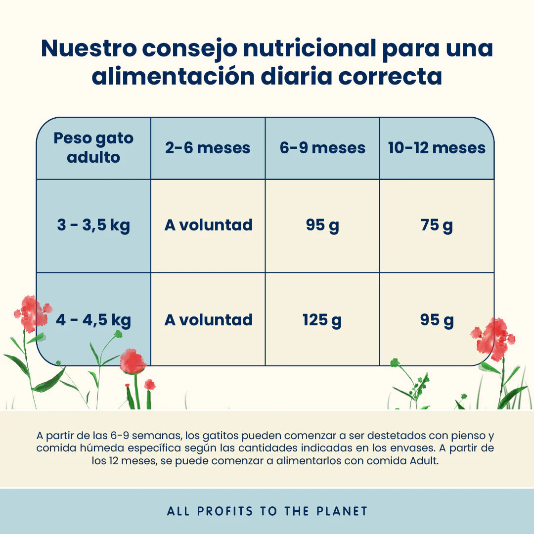 Almo Nature Kitten Pollo Pienso para Gatos - Image 3