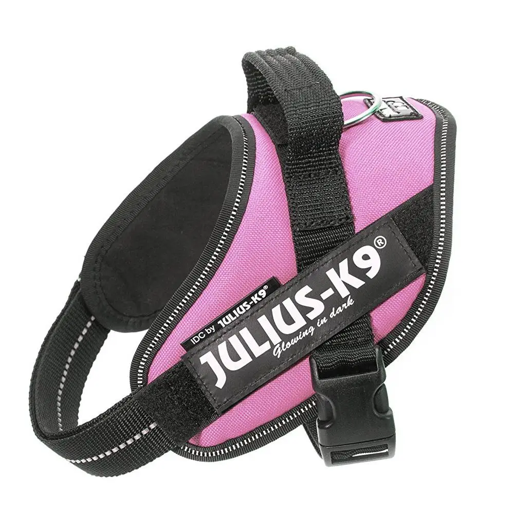 Arnes Idc Julius-K9 - Image 14