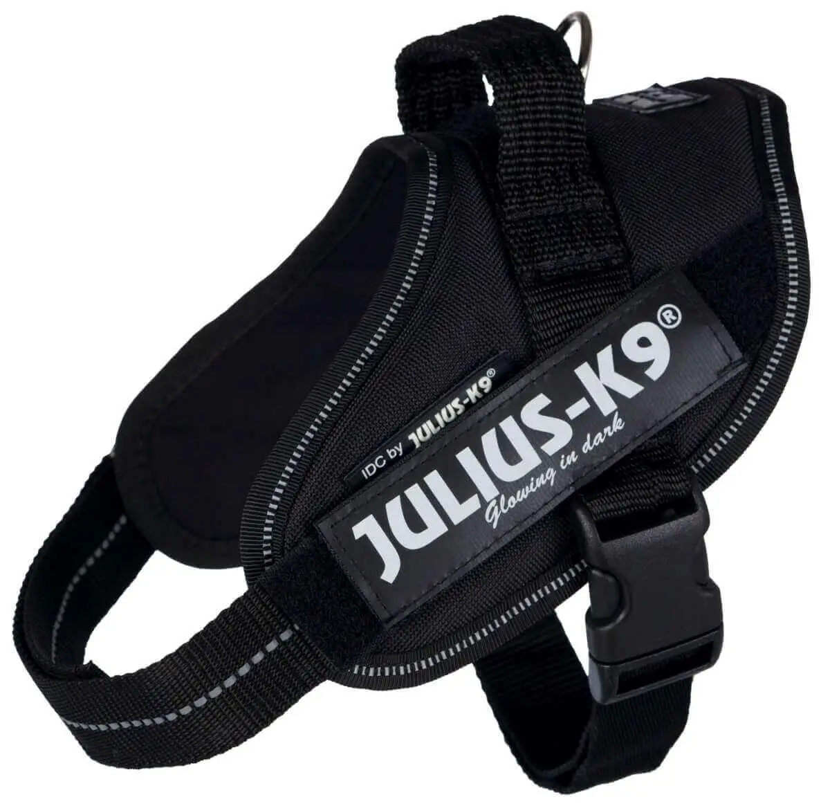Arnes Idc Julius-K9 - Image 25