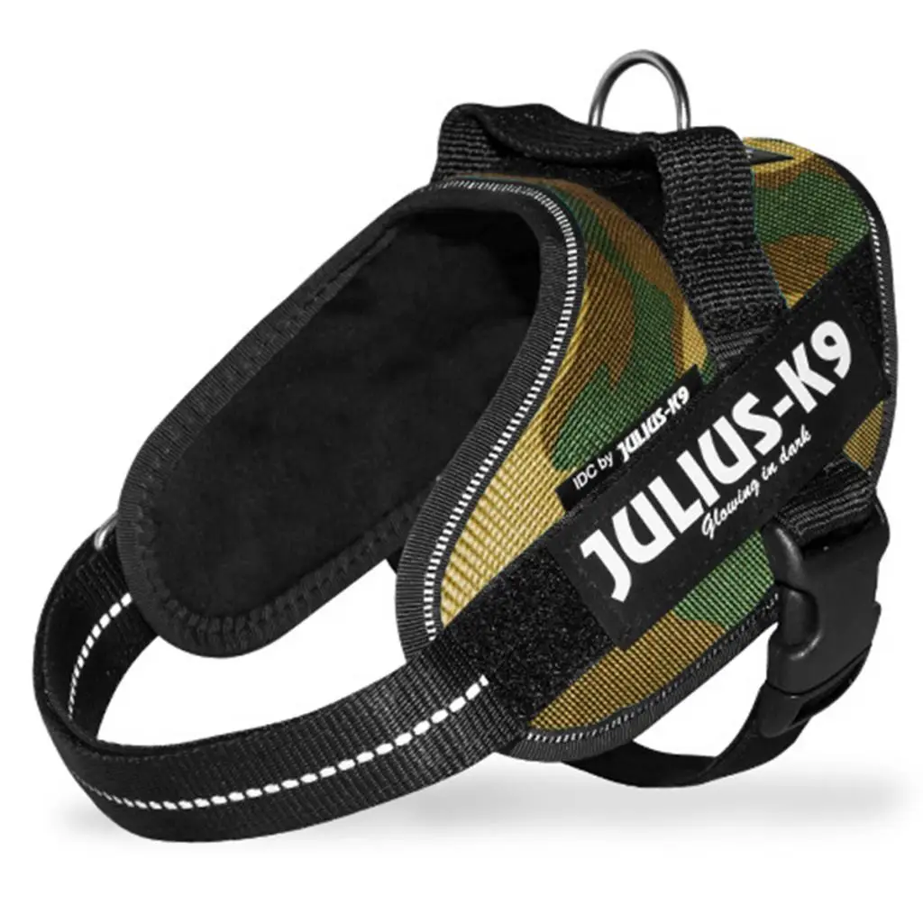 Arnes Idc Julius-K9 - Image 28