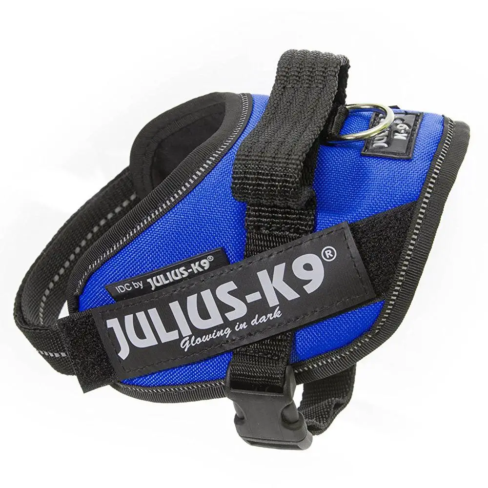 Arnes Idc Julius-K9 - Image 3