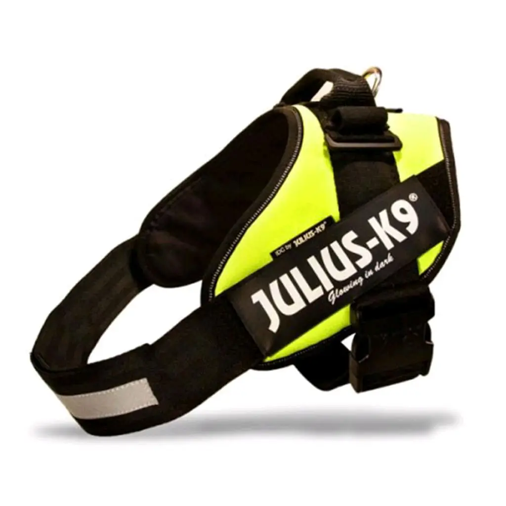 Arnes Idc Julius-K9 - Image 32