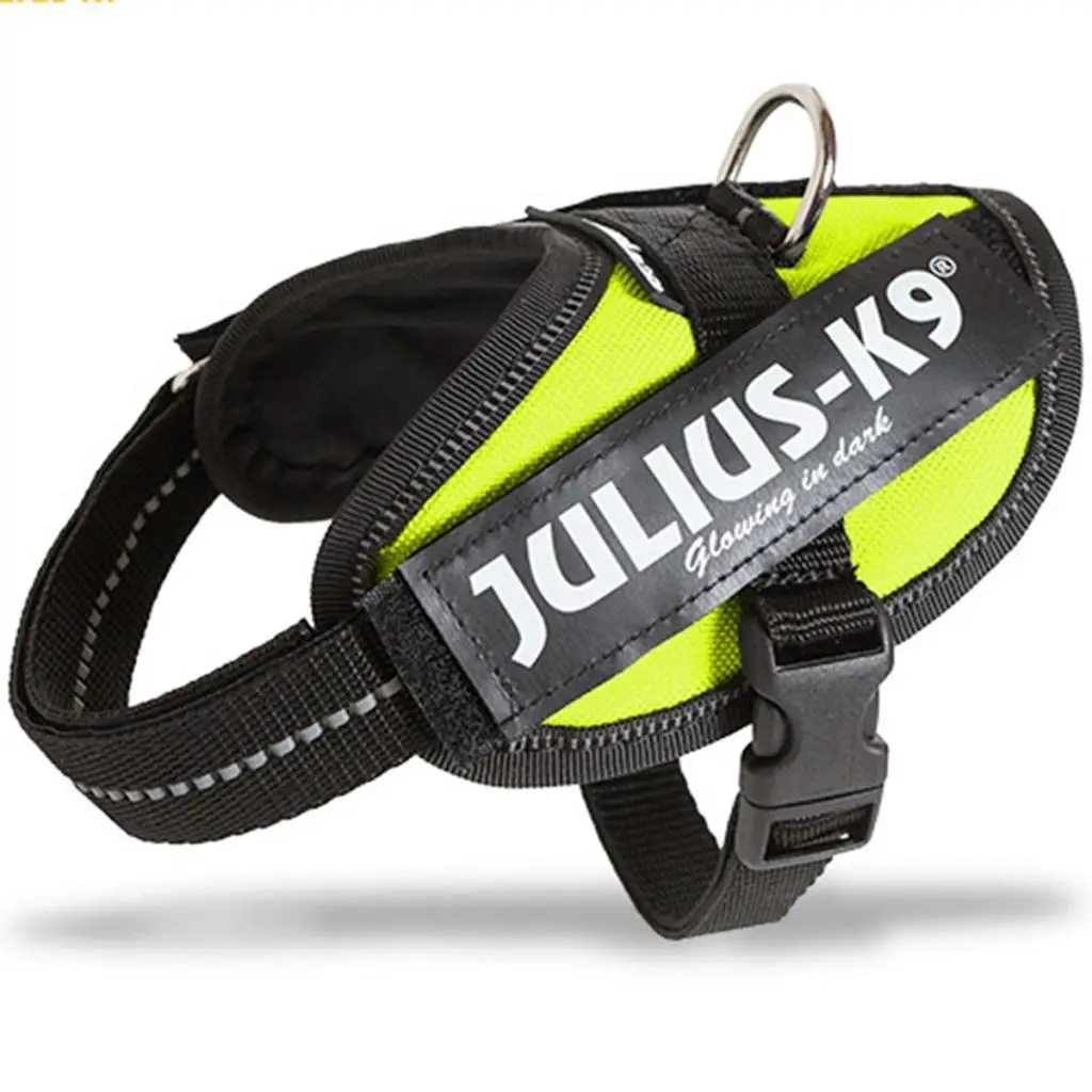 Arnes Idc Julius-K9 - Image 34