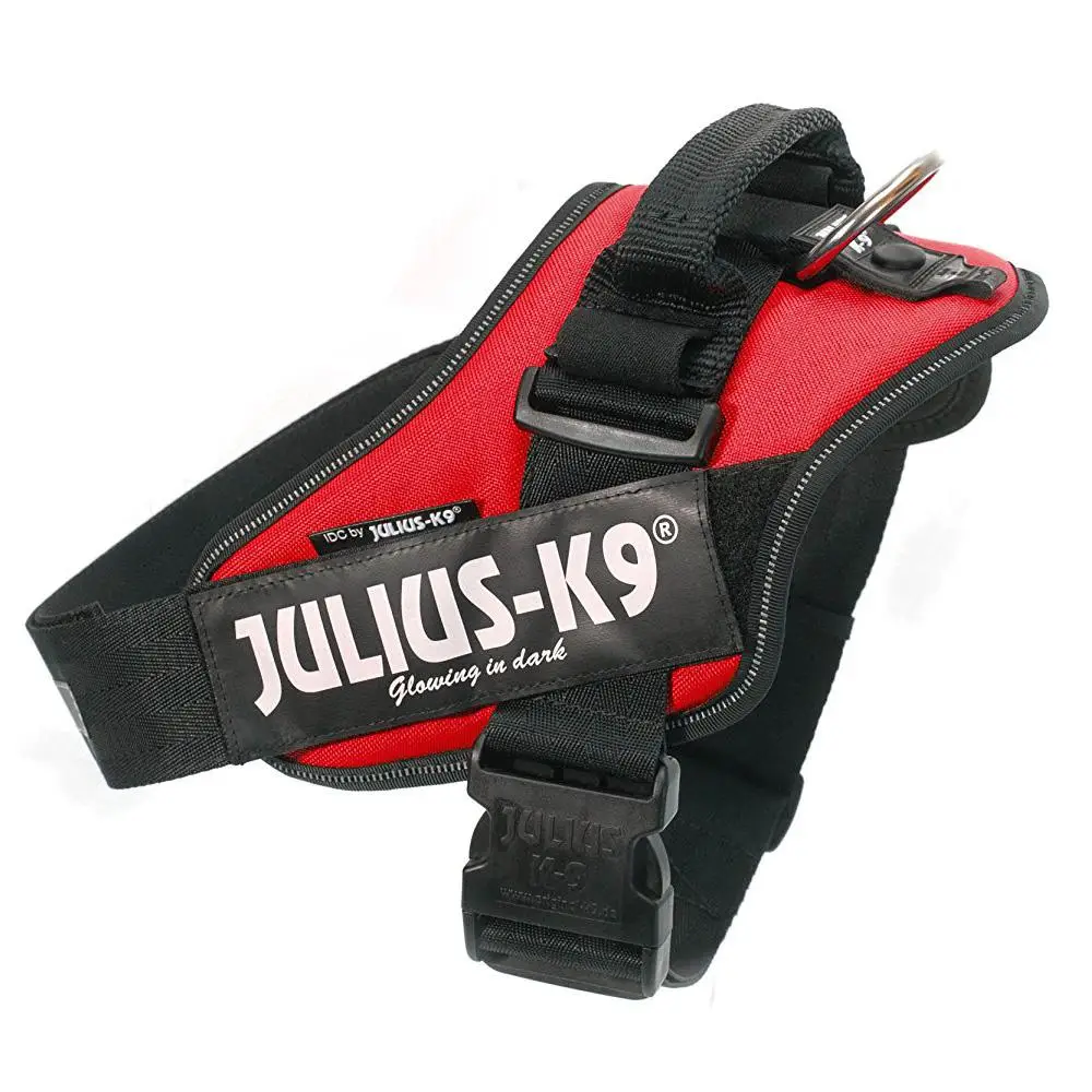 Arnes Idc Julius-K9 - Image 7