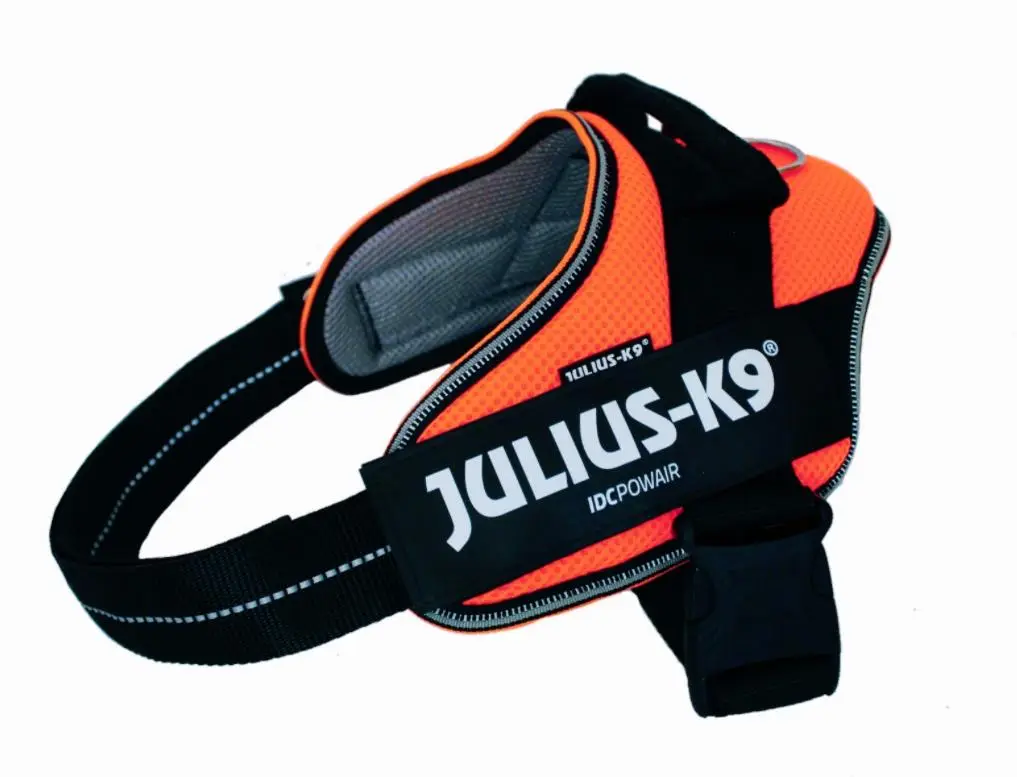 Arnés Idc Julius Powair - Image 3