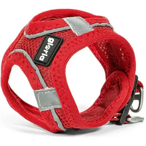 Arnés/Vestido Air Mesh Trek Star Rojo T.Xs – 27-28 cm Gloria