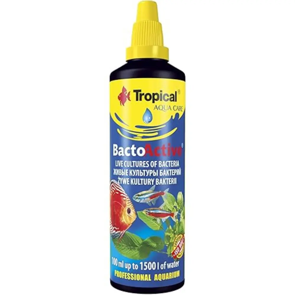 Bacto-Active Live Bacteria