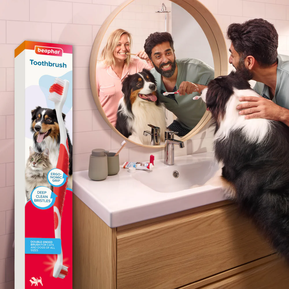 Beaphar Cepillo de Dientes Doble Cabezal para Perros y Gatos de Todos los Tamaños - Image 2