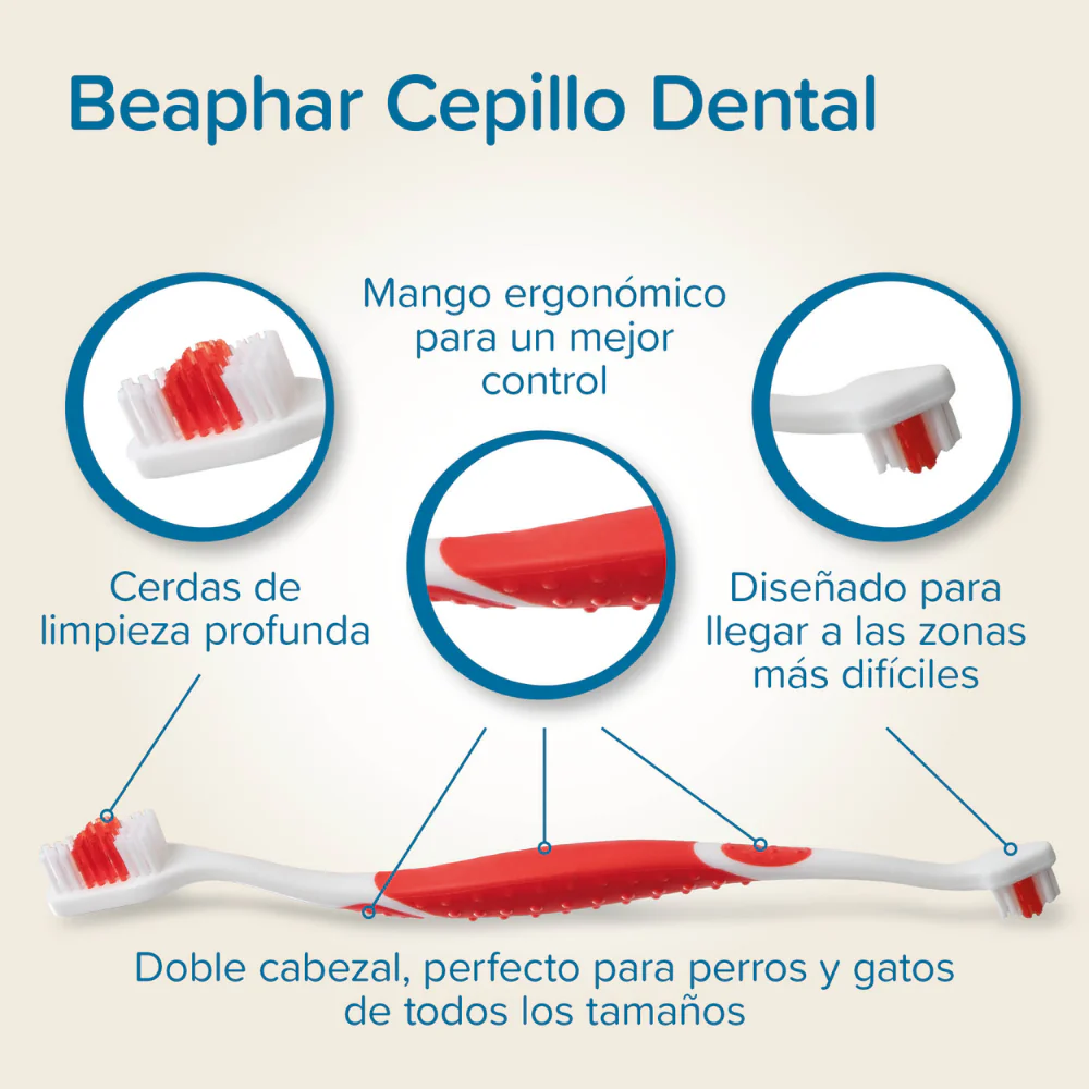Beaphar Cepillo de Dientes Doble Cabezal para Perros y Gatos de Todos los Tamaños - Image 4
