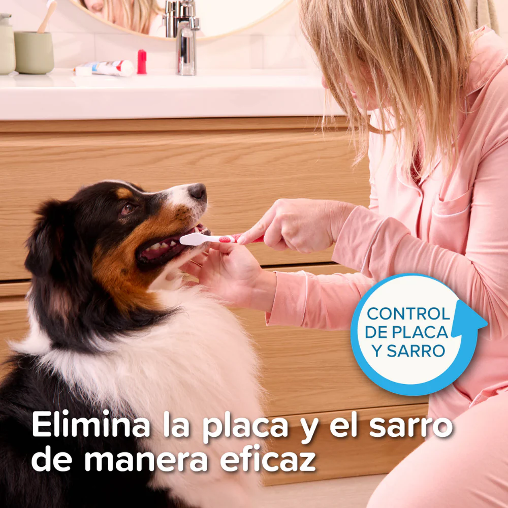 Beaphar Cepillo de Dientes Doble Cabezal para Perros y Gatos de Todos los Tamaños - Image 6