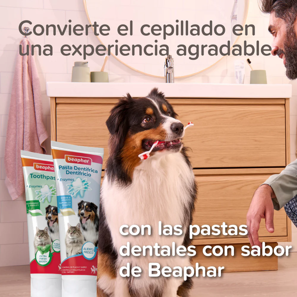 Beaphar Cepillo de Dientes Doble Cabezal para Perros y Gatos de Todos los Tamaños - Image 8