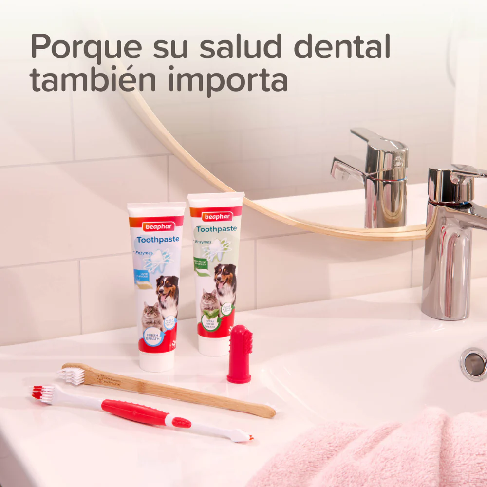 Beaphar Cepillo de Dientes Doble Cabezal para Perros y Gatos de Todos los Tamaños - Image 9