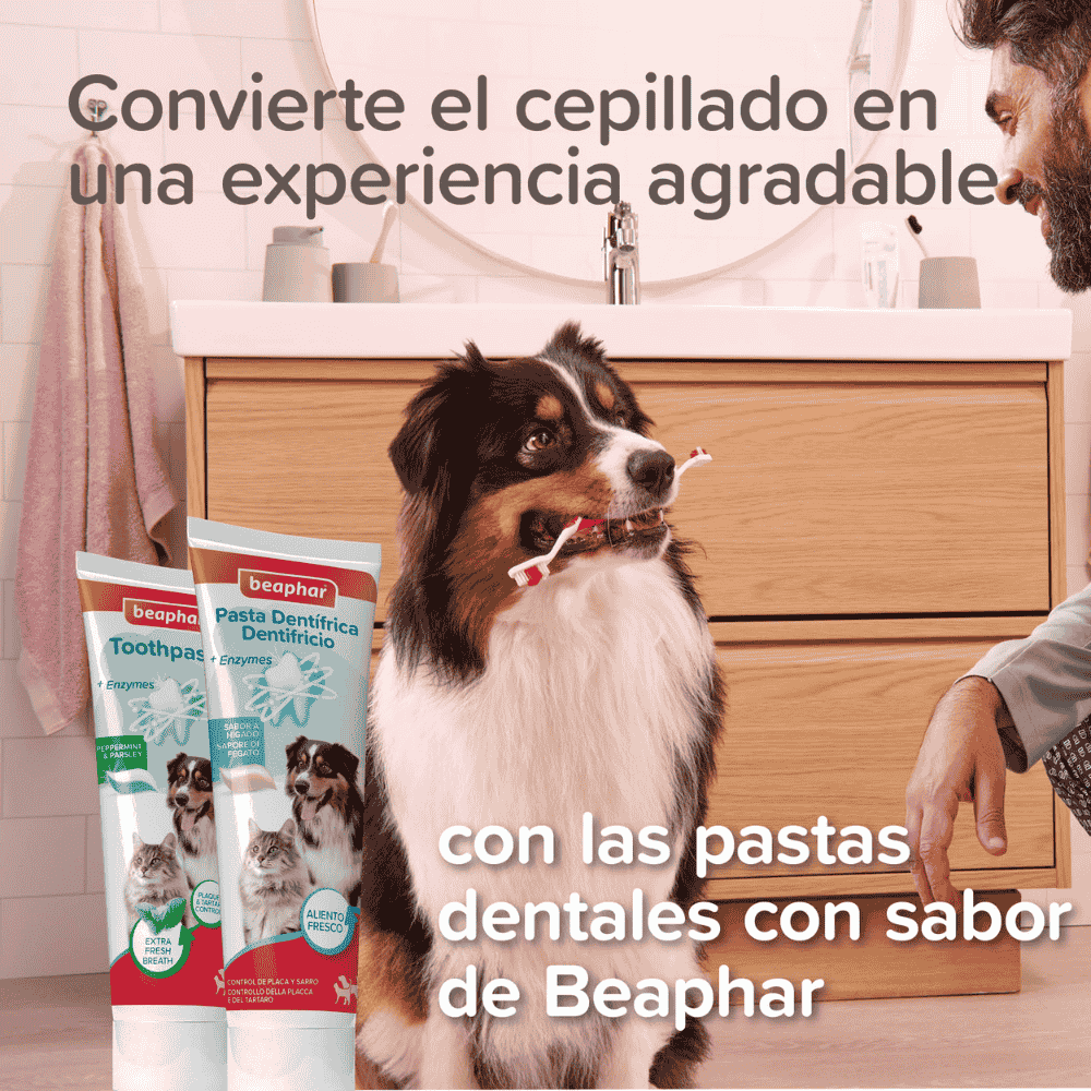Beaphar Cepillo de Dientes Ecológico de Bambú con Doble Cabezal para Perros y Gatos - Image 2