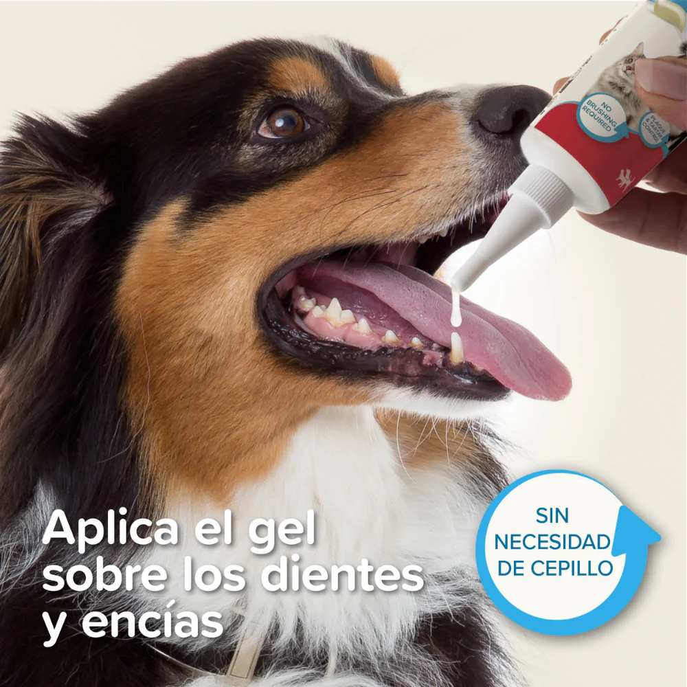 Beaphar Gel Dental para Perros y Gatos 100 g - Image 3