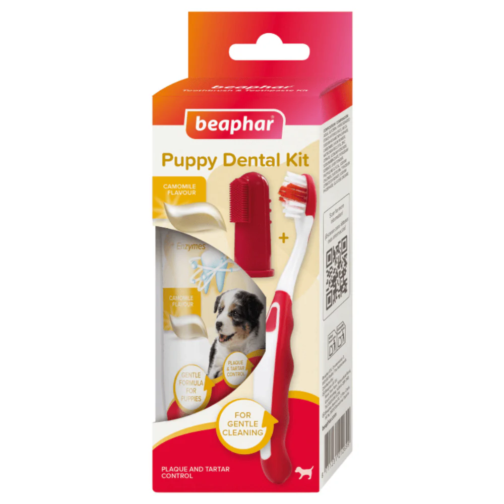 Beaphar Pack Dental para Cachorros | Pasta de Dientes + Cepillo + Cepillo de Dedo