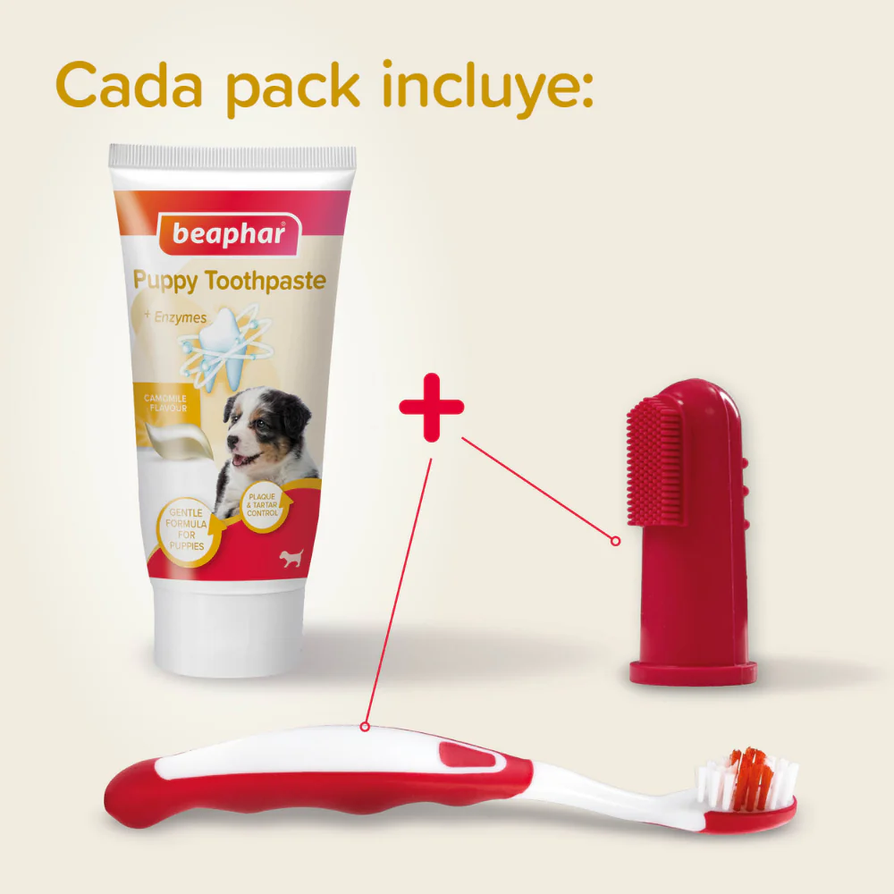 Beaphar Pack Dental para Cachorros | Pasta de Dientes + Cepillo + Cepillo de Dedo - Image 3