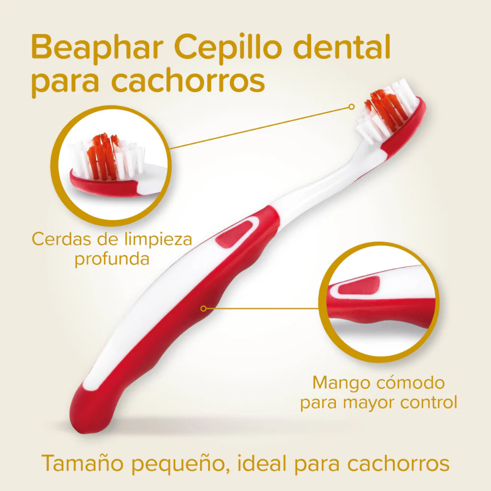 Beaphar Pack Dental para Cachorros | Pasta de Dientes + Cepillo + Cepillo de Dedo - Image 4