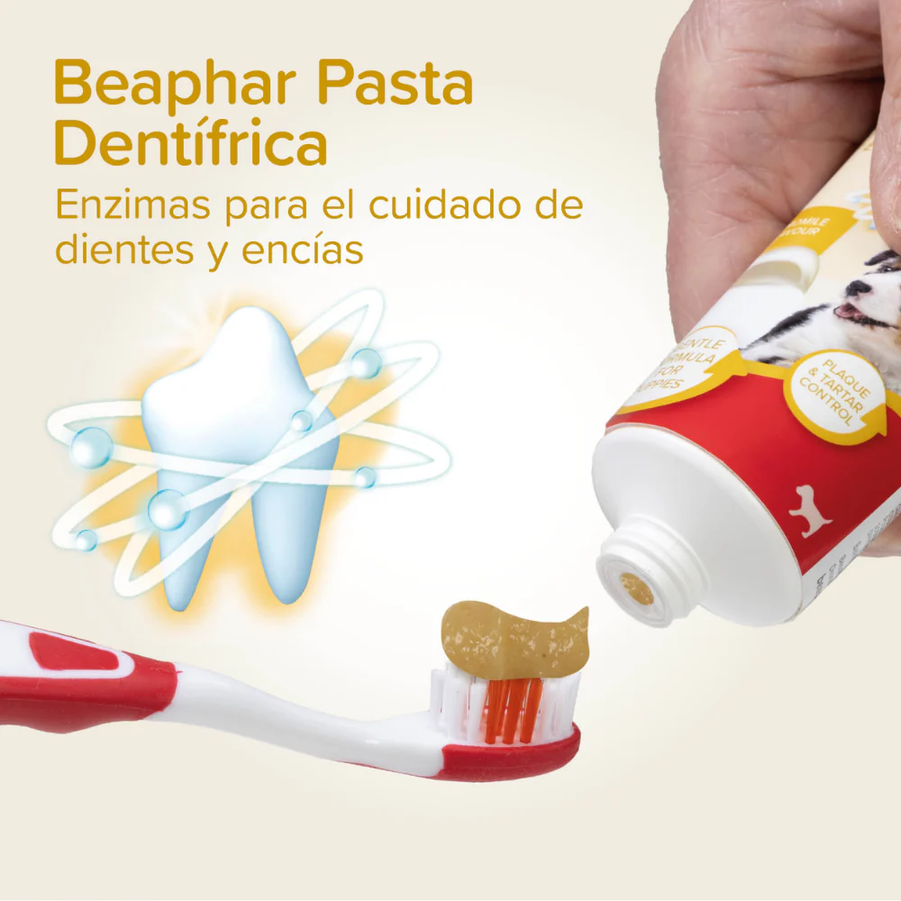 Beaphar Pack Dental para Cachorros | Pasta de Dientes + Cepillo + Cepillo de Dedo - Image 6