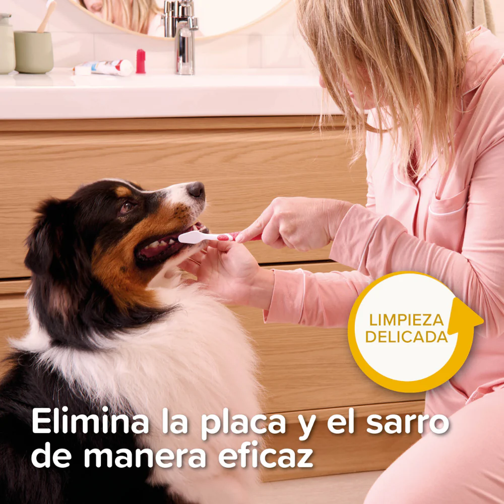 Beaphar Pack Dental para Cachorros | Pasta de Dientes + Cepillo + Cepillo de Dedo - Image 8