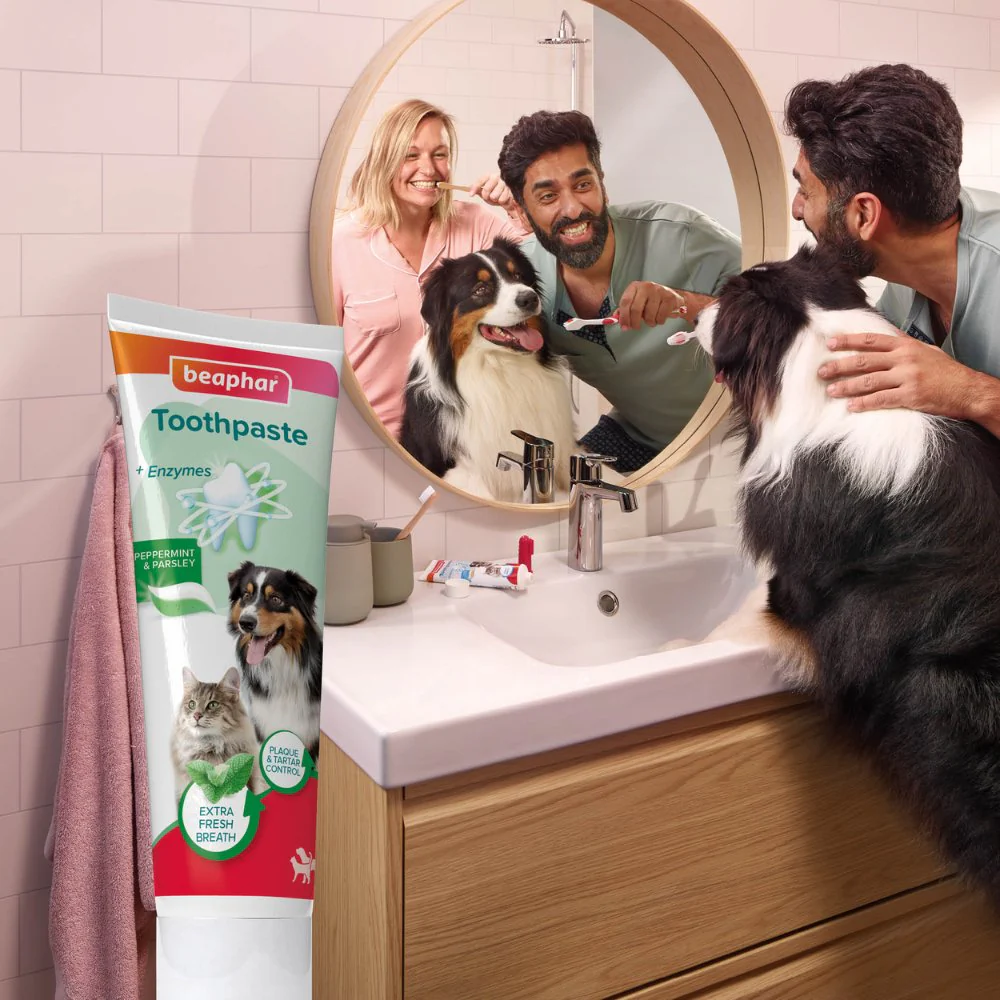 Beaphar Pasta de Dientes Sabor Menta y Perejil 100 g para Perros y Gatos - Image 3