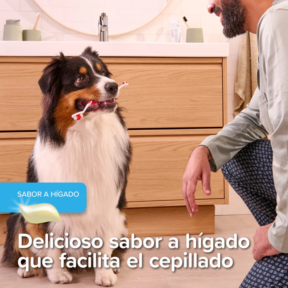 Beaphar Pack Cepillo Dental y Pasta Dentífrica 100 g para Perros y Gatos - Image 10