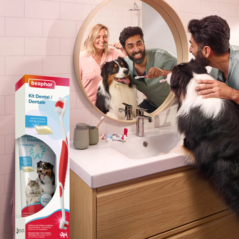 Beaphar Pack Cepillo Dental y Pasta Dentífrica 100 g para Perros y Gatos - Image 3