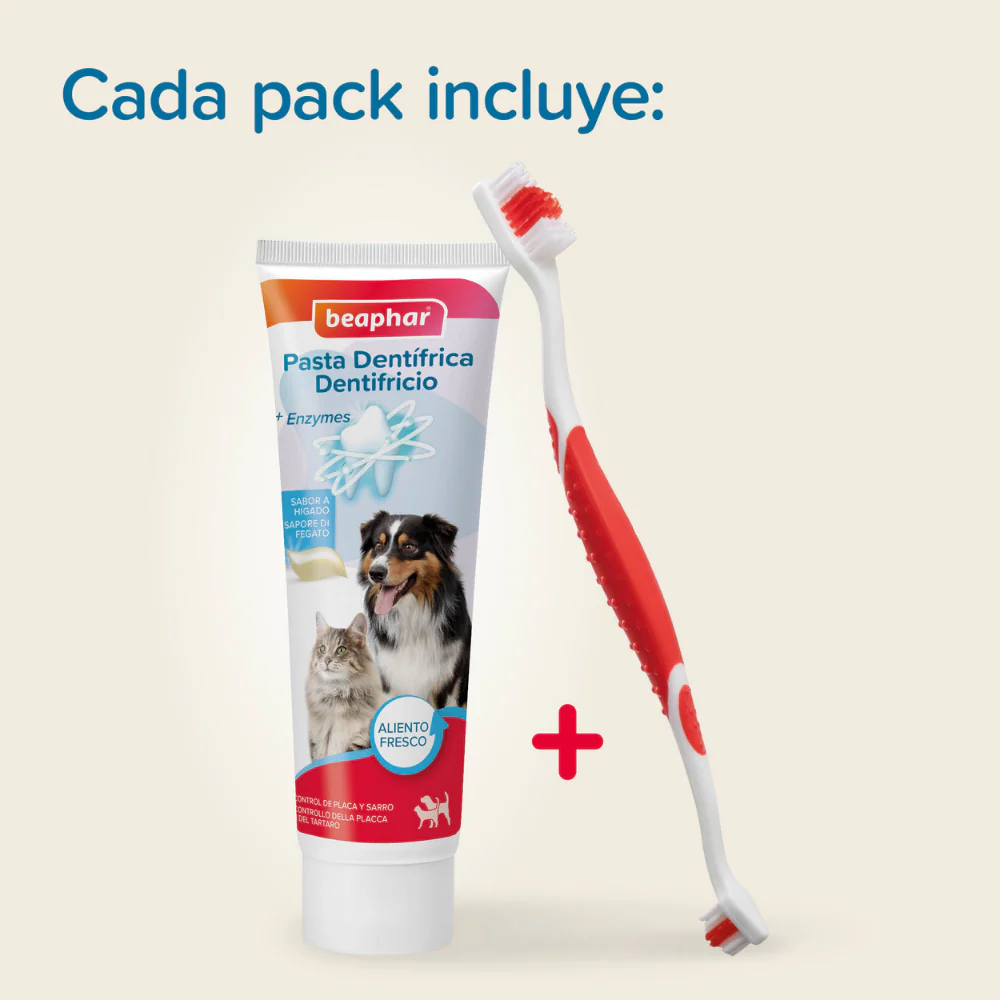 Beaphar Pack Cepillo Dental y Pasta Dentífrica 100 g para Perros y Gatos - Image 4