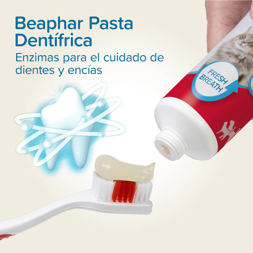 Beaphar Pack Cepillo Dental y Pasta Dentífrica 100 g para Perros y Gatos - Image 7